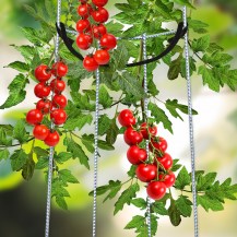 18294 - grip and grow 1350 curved in-situ